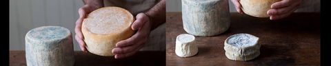 Cheese Making Basics Class - Port Augusta Accommodation 0