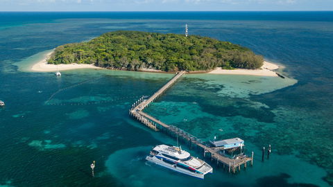 Great Adventures Green Island Ocean Swim - Port Augusta Accommodation 0