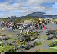 Hobart Showground Sunday Market - Weekly - Port Augusta Accommodation