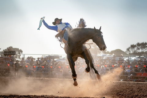Rodeo By The Sea - Streaky Bay - Port Augusta Accommodation 0