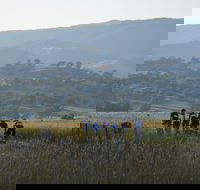 Tumut Cycle Classic - Port Augusta Accommodation