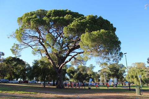 Wagga Parkrun - Port Augusta Accommodation 1