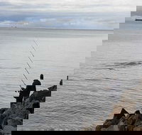 Whale Watching in Portland - Port Augusta Accommodation