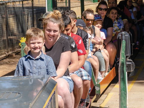 Willans Hill Miniature Railway Rides: Open Days - Port Augusta Accommodation 0