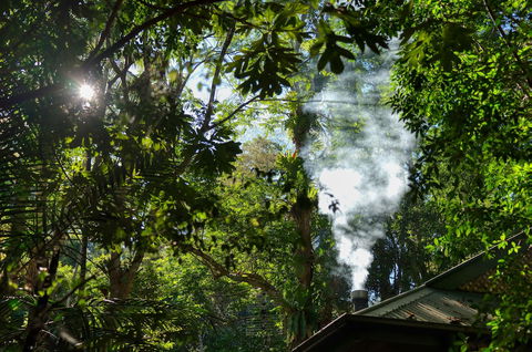 Narrows Escape Rainforest Retreat - Port Augusta Accommodation 5