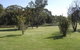 Bellbrae Harvest - thumb 4