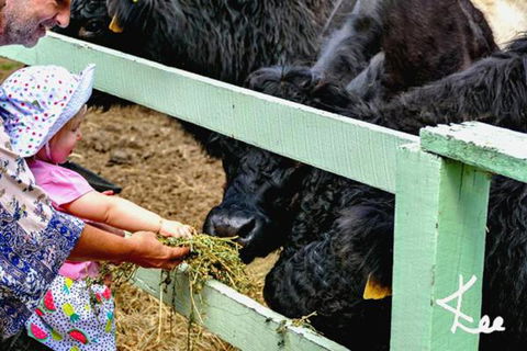 Rosecliffe Boutique Farm Cottages - Port Augusta Accommodation 1