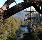 Tahune Air Walk Lodge - Port Augusta Accommodation