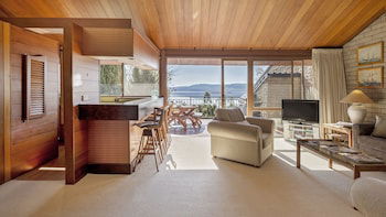 Grey Kangaroo- On Lake Jindabyne Foreshore - Port Augusta Accommodation 2