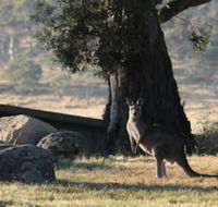 Ecocrackenback 2 Sustainable chalet close to the slopes. - Port Augusta Accommodation