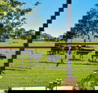 Curra Homestead Maleny - Port Augusta Accommodation