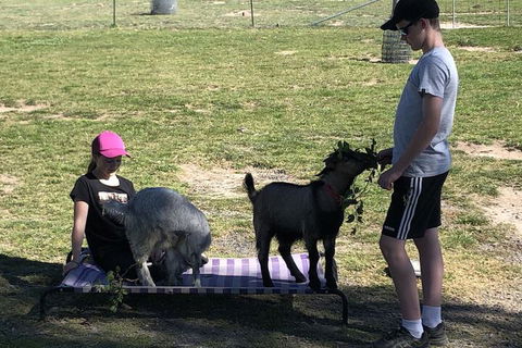 High Country Trail Rides & Farm Stay - Port Augusta Accommodation 5