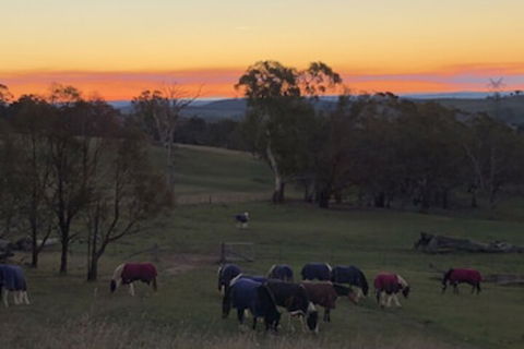 High Country Trail Rides & Farm Stay - Port Augusta Accommodation 0
