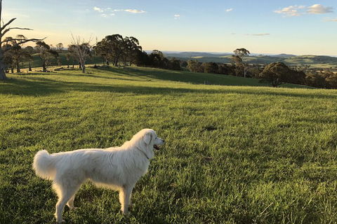 High Country Trail Rides & Farm Stay - Port Augusta Accommodation 1