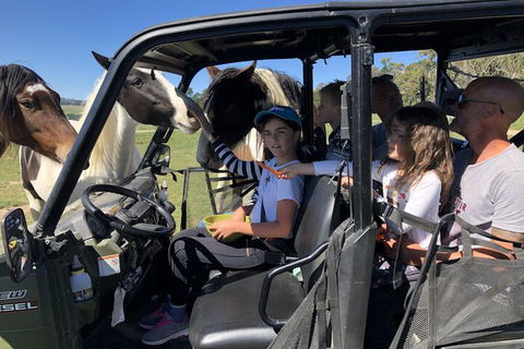 High Country Trail Rides & Farm Stay - Port Augusta Accommodation 4