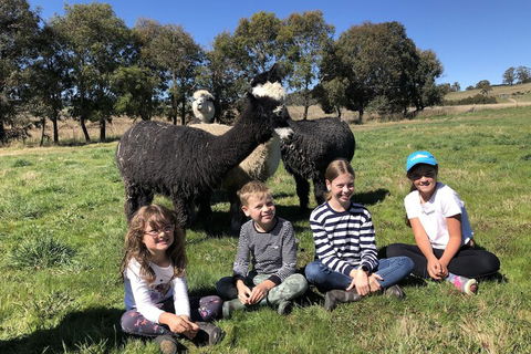 High Country Trail Rides & Farm Stay - Port Augusta Accommodation 3