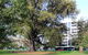 Adelaide Central Apartment - 3BR, 2Bath & Carpark - thumb 1