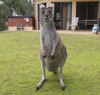 Yelverton Brook Conservation Sanctuary - Port Augusta Accommodation