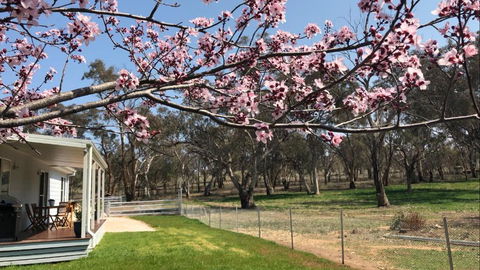 Rosewood Cottage - Port Augusta Accommodation 3