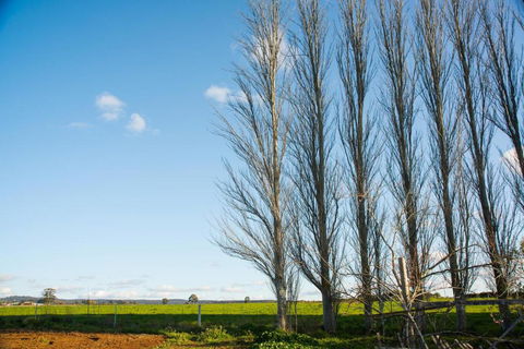 Royal Standard Farm Daylesford - Port Augusta Accommodation 2