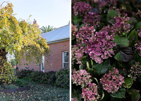 Royal Standard Farm Daylesford - Port Augusta Accommodation 1