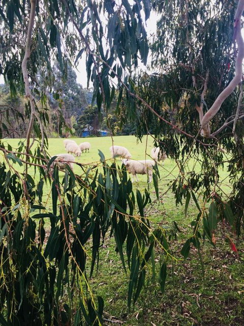 The Retreat - Port Augusta Accommodation 2