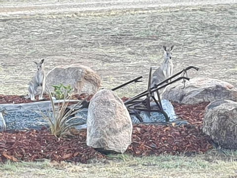 R & R On The Ravine - Port Augusta Accommodation 5