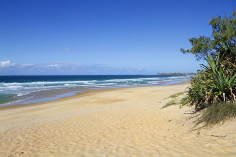 Ivy Street 7 Dicky Beach - Port Augusta Accommodation 5