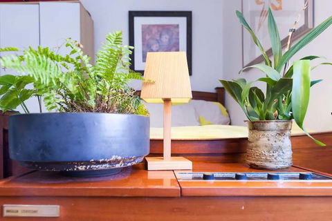 Beautiful Lush & Green Oasis Studio Apartment - Port Augusta Accommodation 6