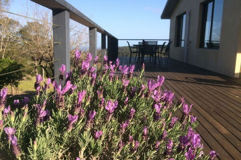 Maleny Mountain Retreat - Port Augusta Accommodation 2