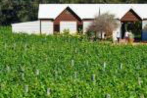 Upper Reach Spa Cottage - Port Augusta Accommodation 0