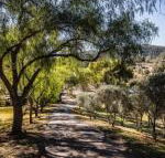 Capers Guesthouse Barn  Cottage - Port Augusta Accommodation
