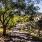 Capers Guesthouse Barn & Cottage - Port Augusta Accommodation 0