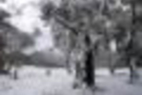 Twin Seasons 5 Deluxe Holiday Apartment - Port Augusta Accommodation 4