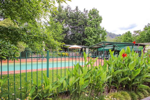 Silver Birches Holiday Unit 5 - Port Augusta Accommodation 5