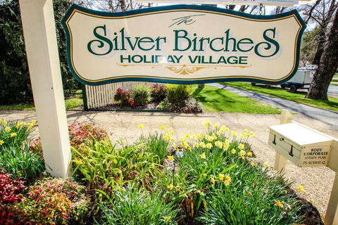 Silver Birches Holiday Unit 3 - Port Augusta Accommodation 2