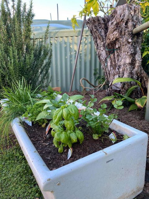 A Drop In The Ocean Kingscliff - Port Augusta Accommodation 5