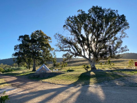 Mansfield Glamping - Port Augusta Accommodation 3