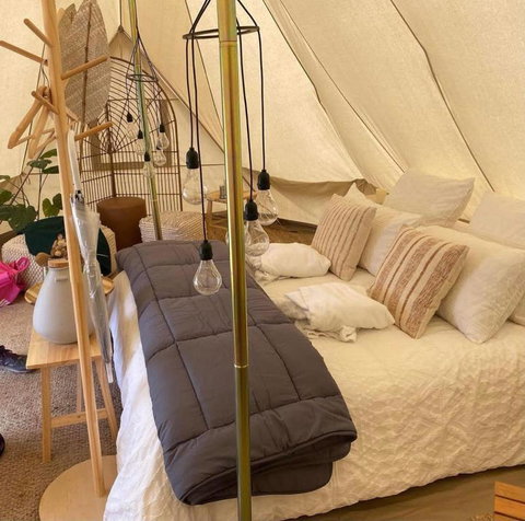 Mansfield Glamping - Port Augusta Accommodation 4