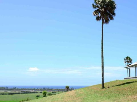 ROSE VALLEY Gerringong 4pm Check Out Sundays - Port Augusta Accommodation 0