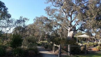 Mt Cooper Inn - Port Augusta Accommodation 5