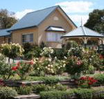Willows Motel - Port Augusta Accommodation