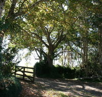 Maleny Mountain Retreat - Port Augusta Accommodation