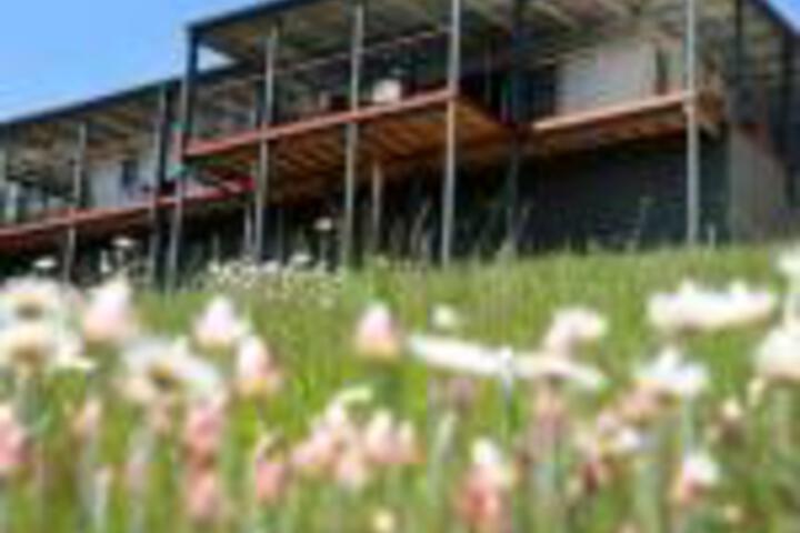 Cygnet TAS Port Augusta Accommodation