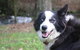 Johanna River Farm & Cottages - thumb 3