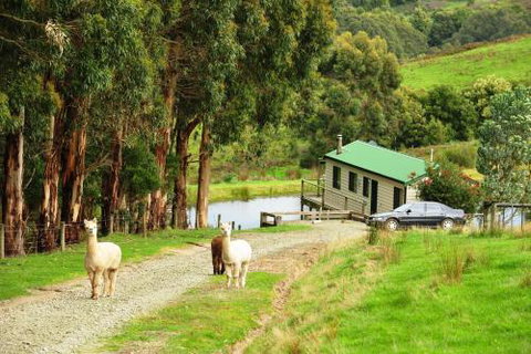 Johanna River Farm & Cottages - Port Augusta Accommodation 5