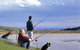 Johanna River Farm & Cottages - thumb 1