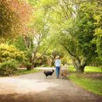 Johanna River Farm & Cottages - Port Augusta Accommodation 0