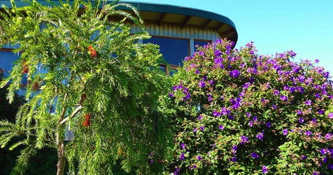 The Boomerangs - Port Augusta Accommodation 0