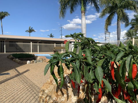 Silo Motor Inn - Port Augusta Accommodation 6